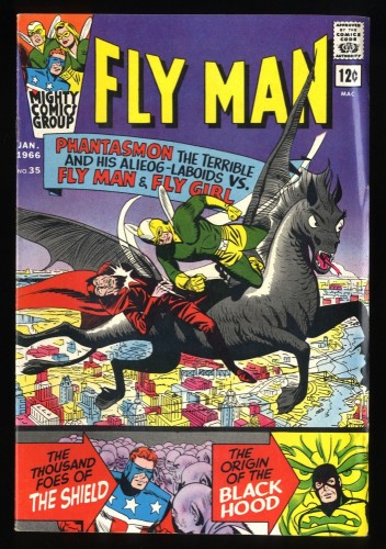 Adventures of the Fly #35 FN 6.0 Off White to White