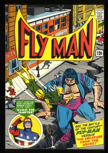 Adventures of the Fly #34 VF+ 8.5 White Pages