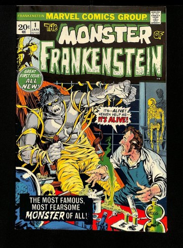 Cover Scan: Frankenstein (1973) #1 VG/FN 5.0 Mary Shelley Story! Mike Ploog Cover! - Item ID #437874