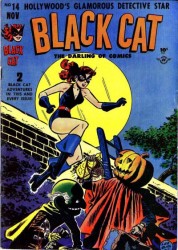 Black Cat #14