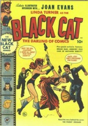 Black Cat #22