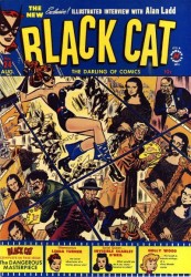 Black Cat #24