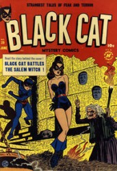 Black Cat #29