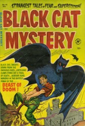 Black Cat #41