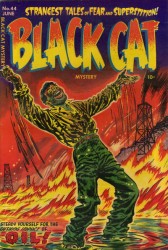 Black Cat #44