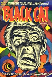 Black Cat #45