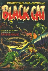 Black Cat #47