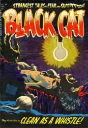 Black Cat #49