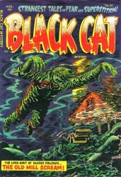Black Cat #51