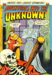 Adventures Into The Unknown #42