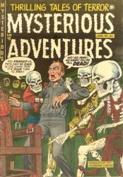 Mysterious Adventures #20