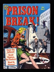Prison Break! #1