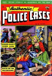 Authentic Police Cases #24