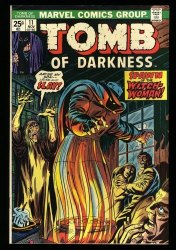 Cover Scan: Tomb of Darkness  #11 NM- 9.2 Spawn of the Witch Woman! Jack Kirby Art! - Item ID #329215