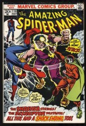 Cover Scan: Amazing Spider-Man #118 VF- 7.5 Death of Smasher! Disruptor Appearance! - Item ID #349733