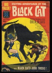 Cover Scan: Black Cat Mystery #65 VG- 3.5  Lee Elias Cover! Early Female Superhero! - Item ID #353170