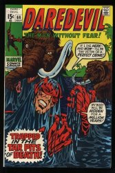 Cover Scan: Daredevil #66 VF/NM 9.0 Roy Thomas & Gene Colan! - Item ID #525095