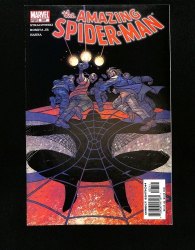 Cover Scan: Amazing Spider-Man #507 - Item ID #563489