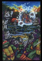 Back Cover Teenage Mutant Ninja Turtles 8