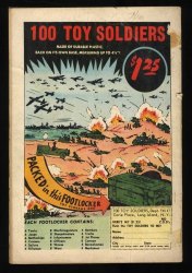 Back Cover Flash 139