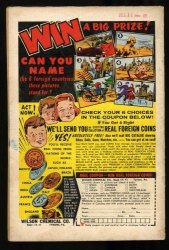 Back Cover Flash 111