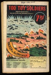 Back Cover Flash 139