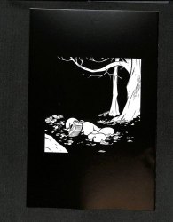 Back Cover Bone 21