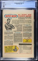 Back Cover Amazing Spider-Man 33