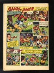 Back Cover Marvel Family 39